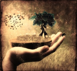 Read more about the article Why I think essential oils are rad! Part I