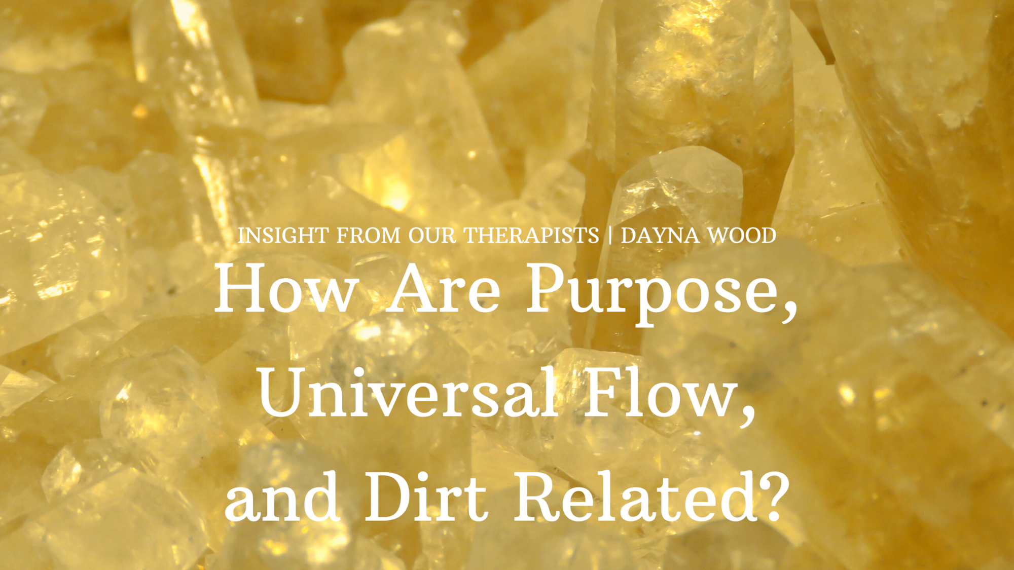 You are currently viewing How are Purpose, Universal Flow and Dirt Related?