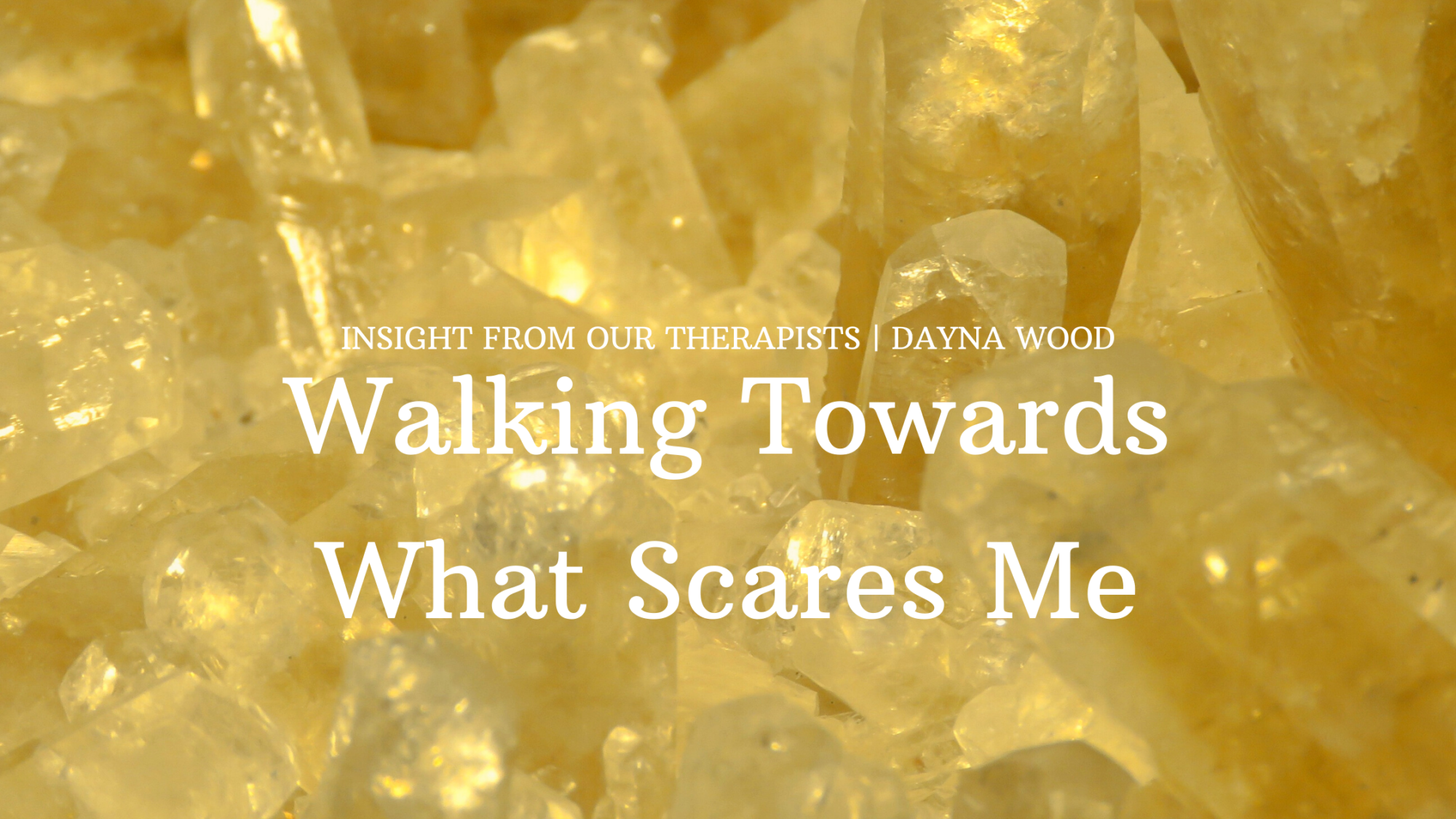 Read more about the article Walking Towards What Scares Me