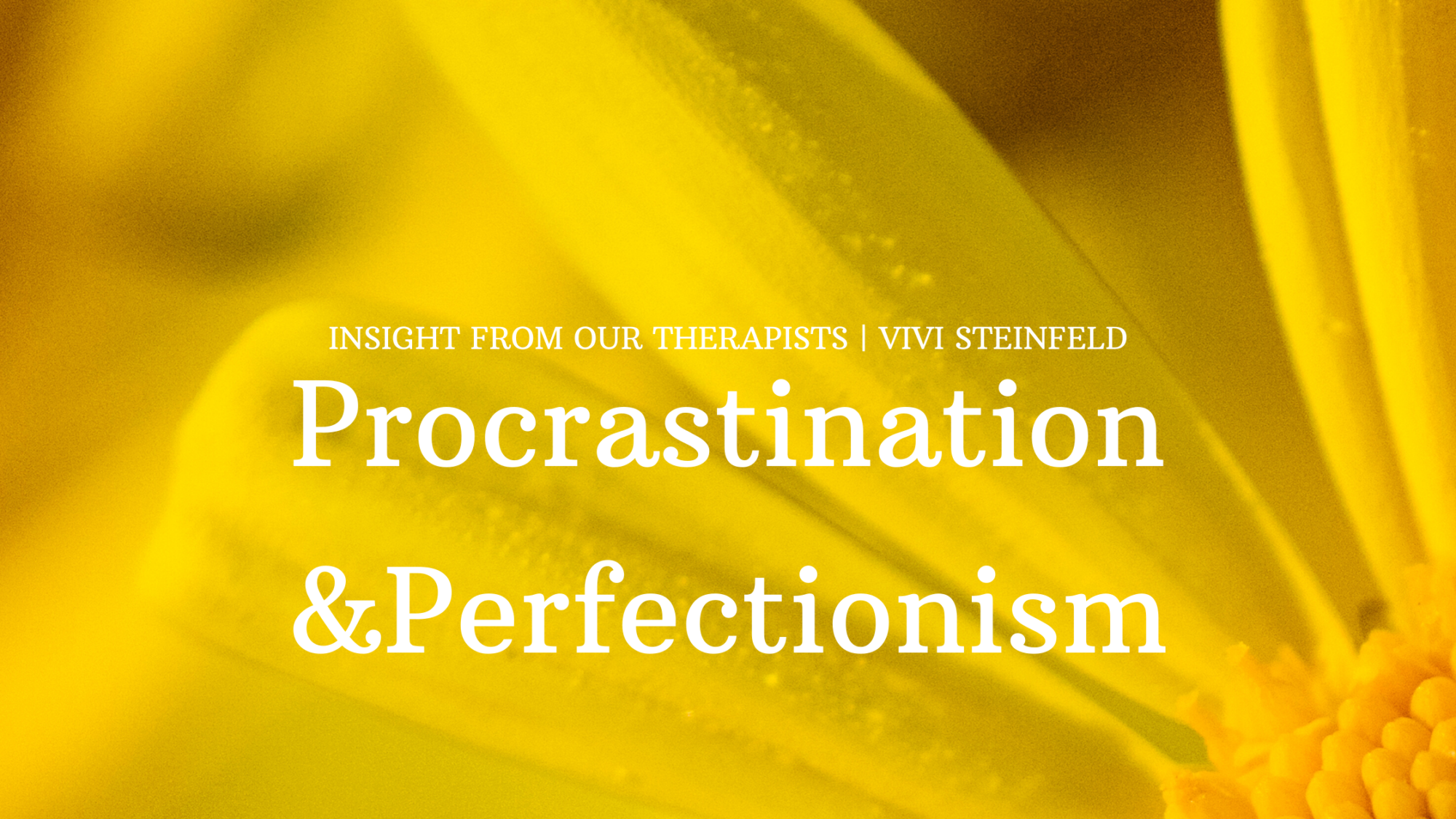 Read more about the article Procrastination and Perfectionism
