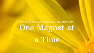 Read more about the article One Magnet At A Time