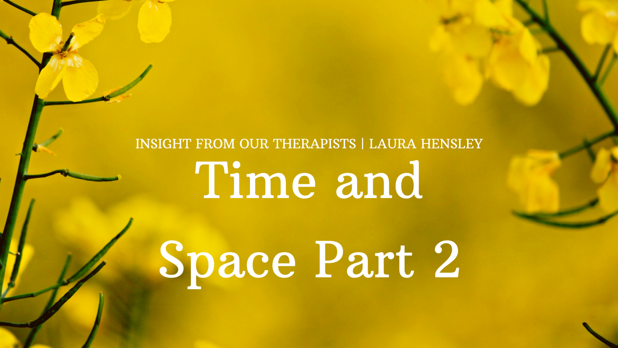 Read more about the article Time and Space Part 2: Deepening My Creative Practice During Quarantine