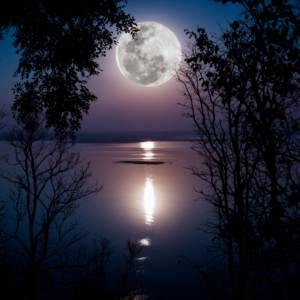 Read more about the article Embrace the Full Moon