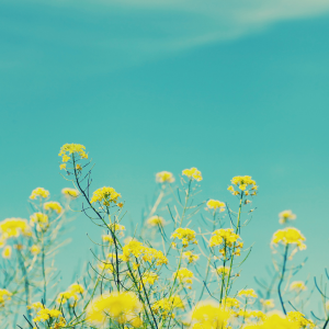 Read more about the article More Than Talking: Actions You Can Take In Therapy