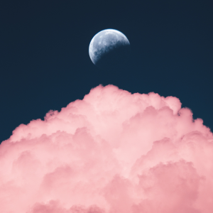 Read more about the article How to Use the Moon to Cleanse