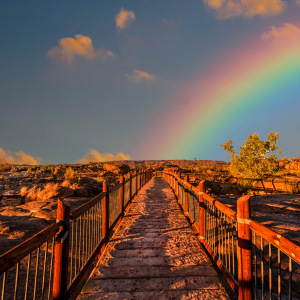 Read more about the article Your Journey: Return