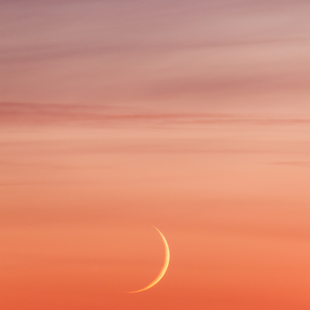 Read more about the article Preparing for the New Moon