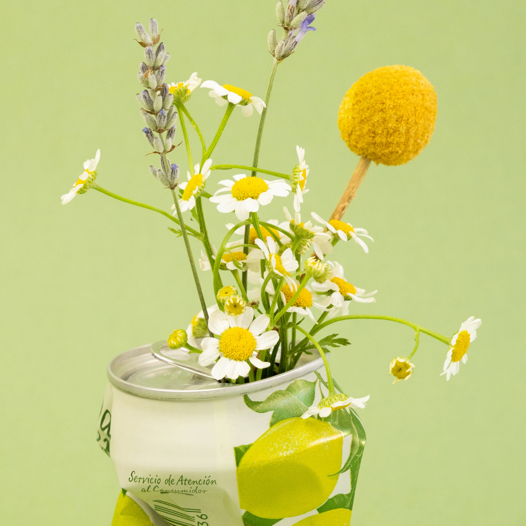 a green background with a crushed can that has flowers living in it