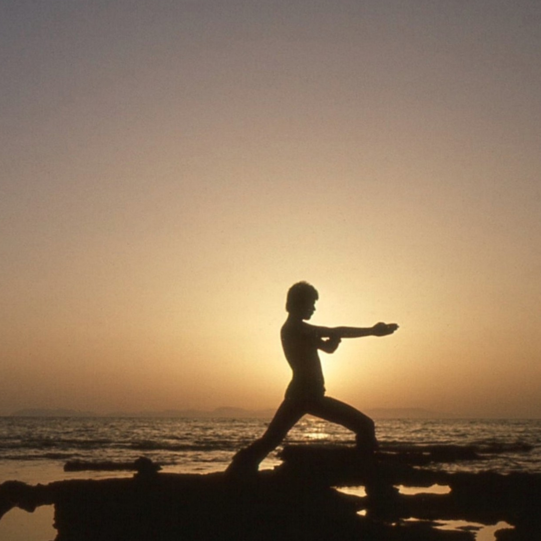 a man doing a martial arts practice to represent body informed wisdom